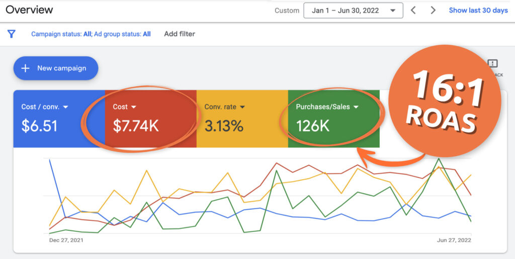 Google Ads Conversion Results