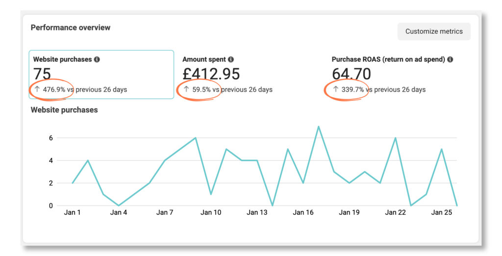 meta ads performance overview